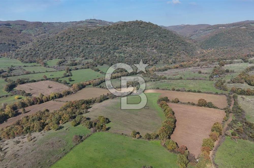 CB KİNG'DEN BALYA/ORHANLAR MAHALLESİ'NDE 29694m² SATILIK TARLA