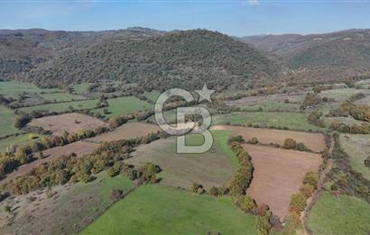 CB KİNG'DEN BALYA/ORHANLAR MAHALLESİ'NDE 29694m² SATILIK TARLA