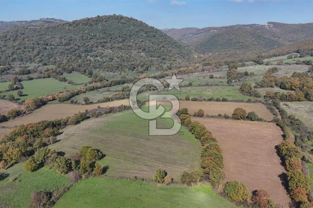 CB KİNG'DEN BALYA/ORHANLAR MAHALLESİ'NDE 29694m² SATILIK TARLA