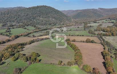 CB KİNG'DEN BALYA/ORHANLAR MAHALLESİ'NDE 29694m² SATILIK TARLA