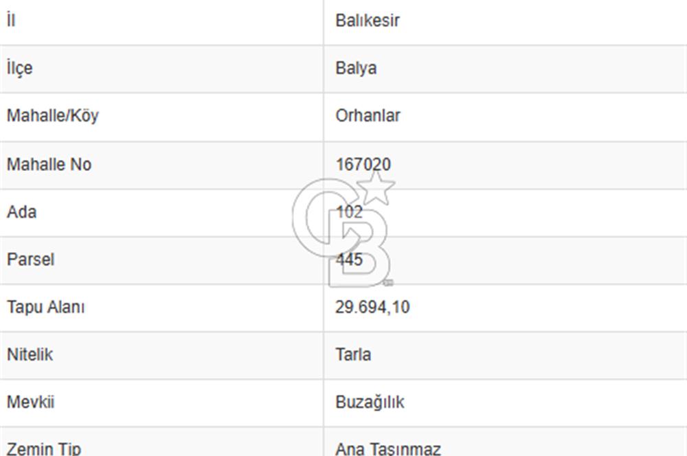 CB KİNG'DEN BALYA/ORHANLAR MAHALLESİ'NDE 29694m² SATILIK TARLA