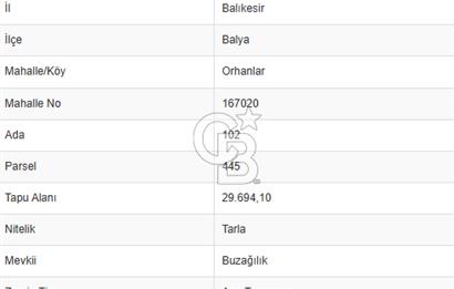 CB KİNG'DEN BALYA/ORHANLAR MAHALLESİ'NDE 29694m² SATILIK TARLA