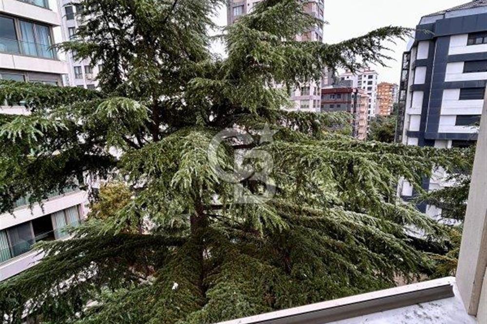 Bağdat Caddesi'nde Komple Kiralık Sıfır Prestijli Bina