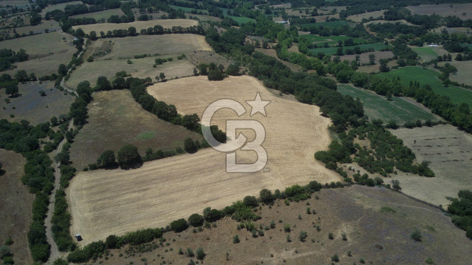 CB KİNG'DEN BALYA/ORHANLAR MAHALLESİ'NDE 29694m² SATILIK TARLA