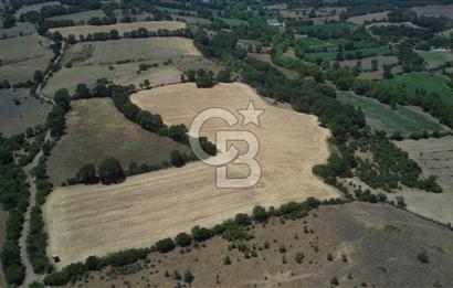 CB KİNG'DEN BALYA/ORHANLAR MAHALLESİ'NDE 29694m² SATILIK TARLA