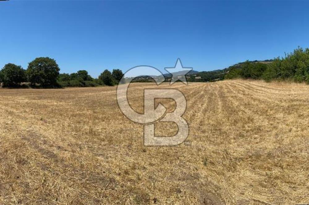 CB KİNG'DEN BALYA/ORHANLAR MAHALLESİ'NDE 29694m² SATILIK TARLA