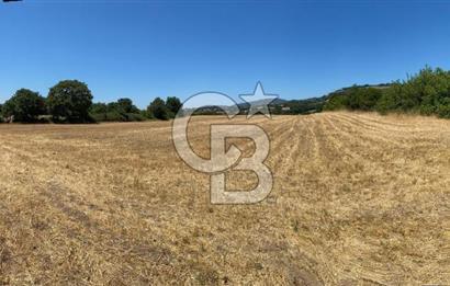 CB KİNG'DEN BALYA/ORHANLAR MAHALLESİ'NDE 29694m² SATILIK TARLA