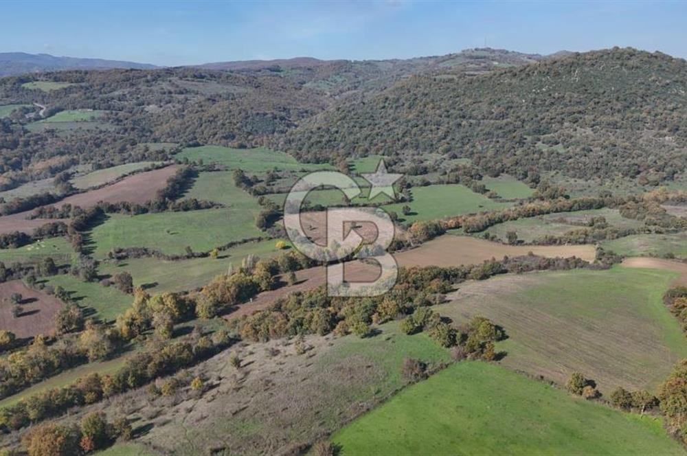 CB KİNG'DEN BALYA/ORHANLAR MAHALLESİ'NDE 29694m² SATILIK TARLA