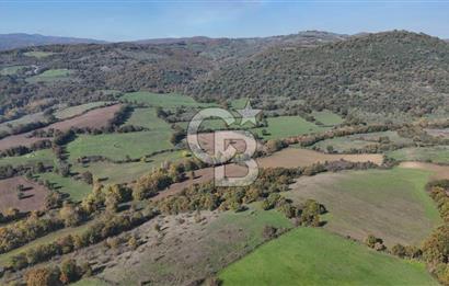CB KİNG'DEN BALYA/ORHANLAR MAHALLESİ'NDE 29694m² SATILIK TARLA