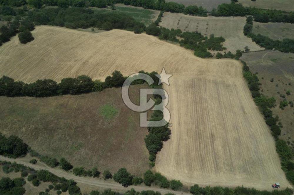 CB KİNG'DEN BALYA/ORHANLAR MAHALLESİ'NDE 29694m² SATILIK TARLA