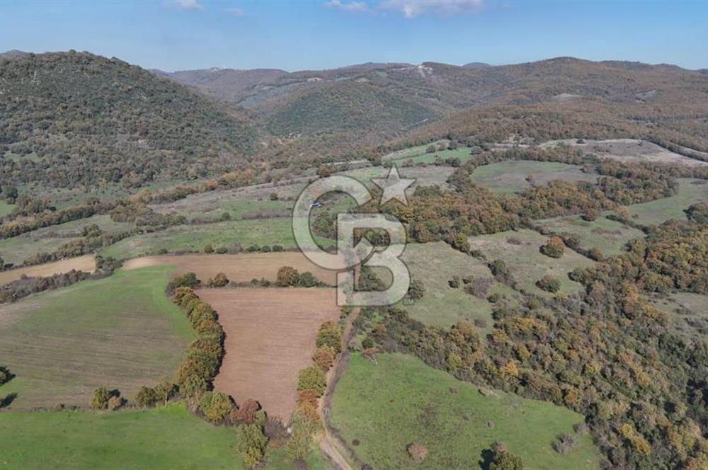CB KİNG'DEN BALYA/ORHANLAR MAHALLESİ'NDE 29694m² SATILIK TARLA