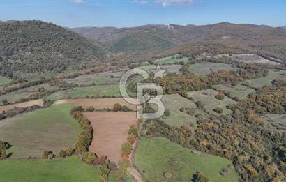 CB KİNG'DEN BALYA/ORHANLAR MAHALLESİ'NDE 29694m² SATILIK TARLA