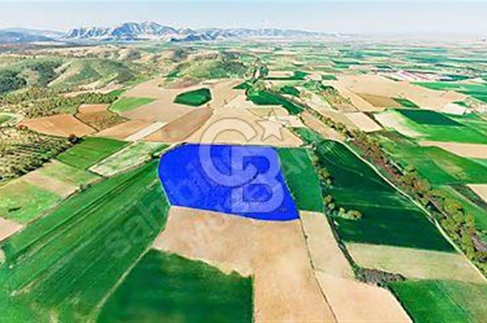 TORBALI BÜLBÜLDERE' de 46.100m² BADEM BAHÇESİ