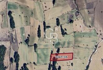 Cankurtaran da Satılık Arazi - 1 - 373752