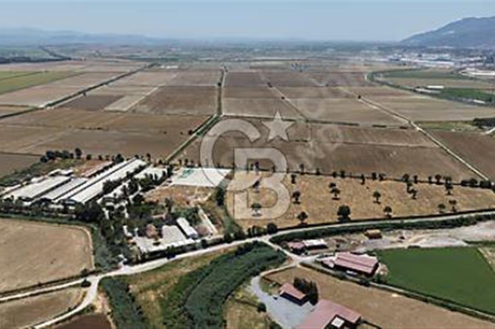 SÖKE'DE SANAYİ İMARLI ENTEGRE BÜYÜKBAŞ HAYVANCILIK TESİSİ