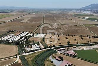 SÖKE'DE SANAYİ İMARLI ENTEGRE BÜYÜKBAŞ HAYVANCILIK TESİSİ - 1 - 373713