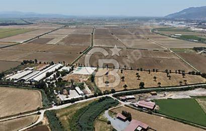 SÖKE'DE SANAYİ İMARLI ENTEGRE BÜYÜKBAŞ HAYVANCILIK TESİSİ