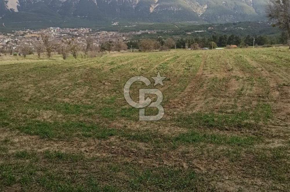 Cankurtaran da Satılık Arazi