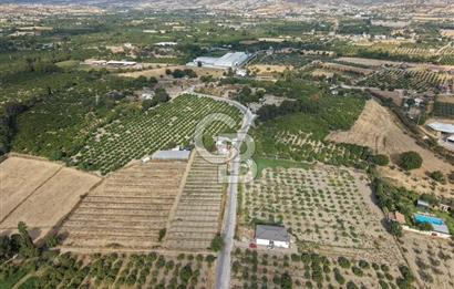 Düzce Köyü’nde Şık ve Geniş 1+1 | Net 75 m²