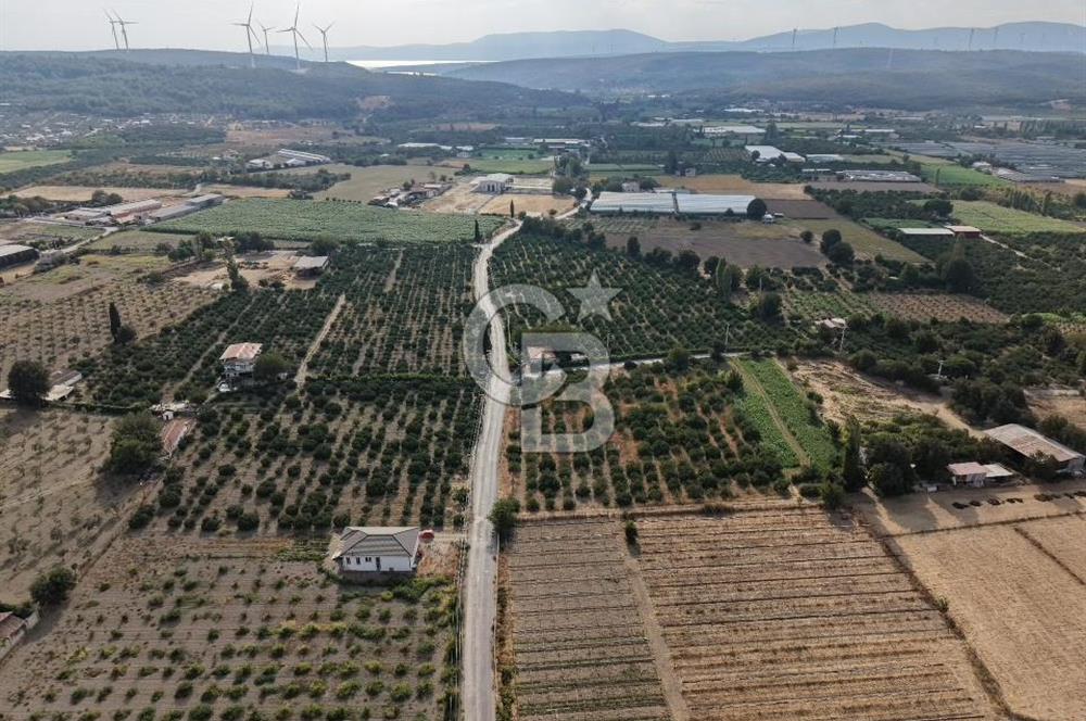 Düzce Köyü’nde Şık ve Geniş 1+1 | Net 75 m²