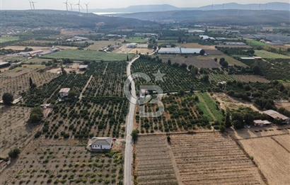 Düzce Köyü’nde Şık ve Geniş 1+1 | Net 75 m²