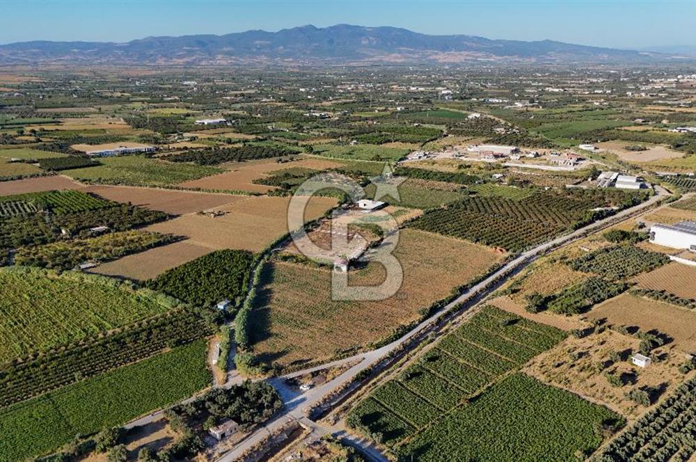 TURGUTLU 1.OSB İMAR SINIRINDA YATIRIM POTANSİYELİ SATILIK TARLA