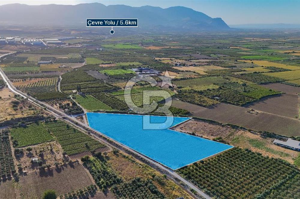 TURGUTLU 1.OSB İMAR SINIRINDA YATIRIM POTANSİYELİ SATILIK TARLA