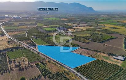 TURGUTLU 1.OSB İMAR SINIRINDA YATIRIM POTANSİYELİ SATILIK TARLA