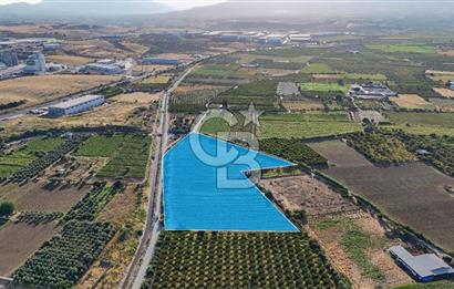 TURGUTLU 1.OSB İMAR SINIRINDA YATIRIM POTANSİYELİ SATILIK TARLA