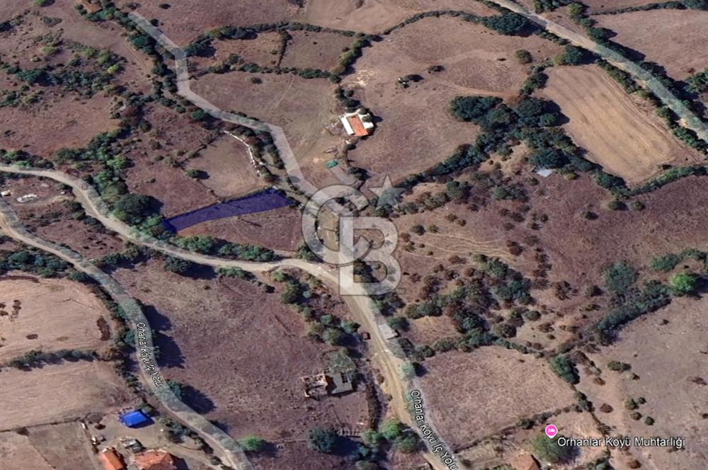 CB KİNG'DEN BALYA/ORHANLAR MAHALLESİ'NDE 489m² SATILIK TARLA