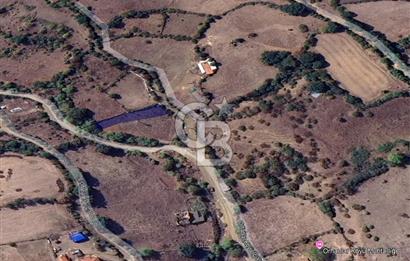 CB KİNG'DEN BALYA/ORHANLAR MAHALLESİ'NDE 489m² SATILIK TARLA