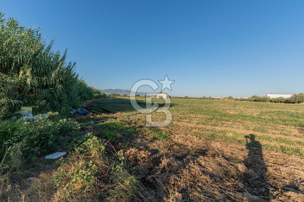 TURGUTLU 1.OSB İMAR SINIRINDA YATIRIM POTANSİYELİ SATILIK TARLA