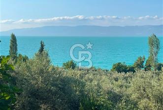 İznik Müşküle’de Göl Manzaralı, Göle ve Asfalta Yakın Zeytinlik - 11 - 373797
