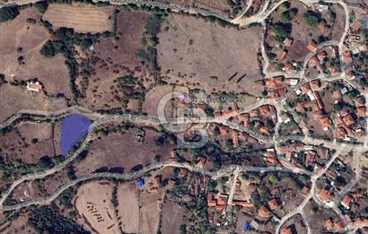 CB KİNG'DEN BALYA/ORHANLAR MAHALLESİ'NDE 1430m² SATILIK ARSA