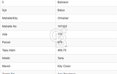 CB KİNG'DEN BALYA/ORHANLAR MAHALLESİ'NDE 489m² SATILIK TARLA