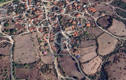 CB KİNG'DEN BALYA/ORHANLAR MAHALLESİ'NDE 489m² SATILIK TARLA