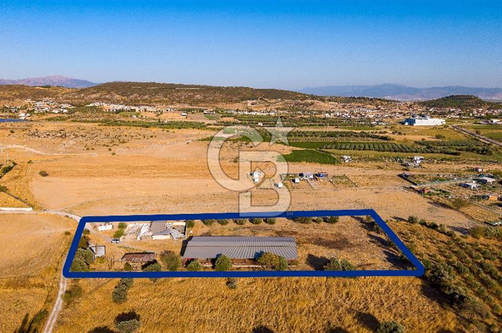 Foça Bağarası Hacıveli Mah. Satılık Çiftlik