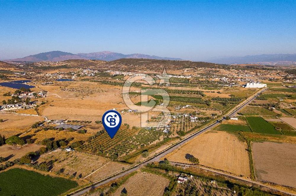 Foça Gerenköy'de Satılık Tek Tapu Tarla
