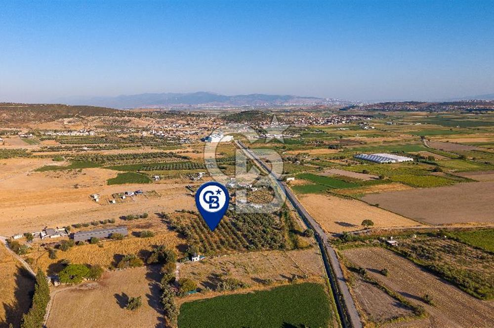 Foça Gerenköy'de Satılık Tek Tapu Tarla