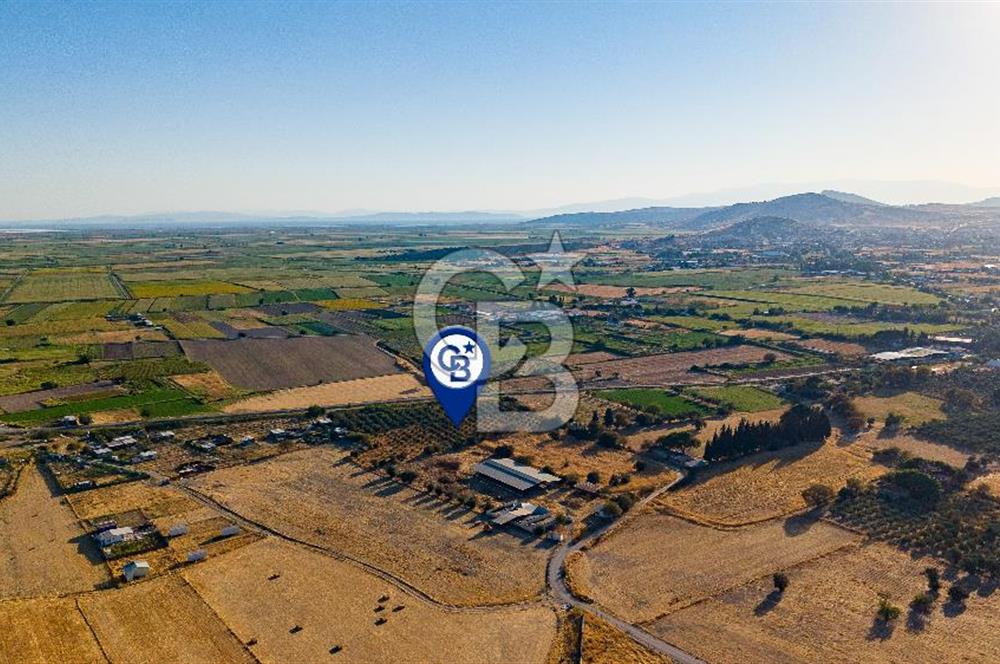 Foça Gerenköy'de Satılık Tek Tapu Tarla
