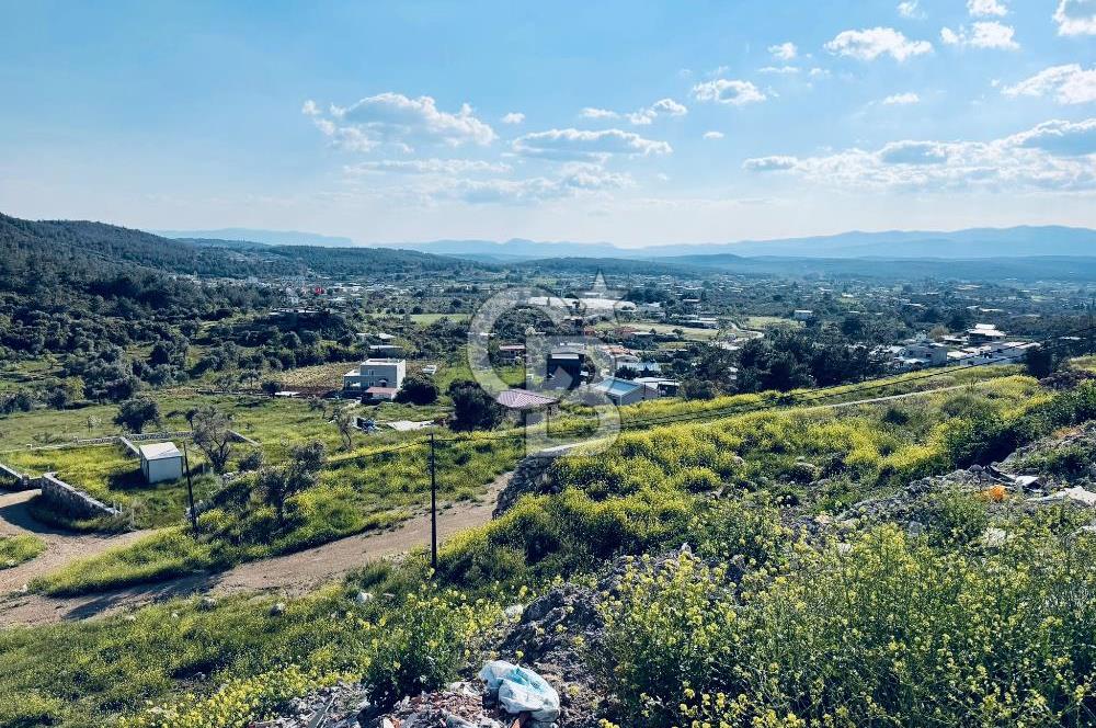 Buca Kaynaklar Pınaraltı 300 m2 resmi tapulu Arsa