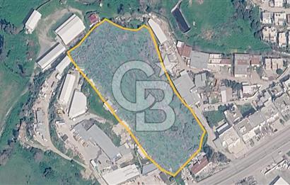 İSLAMHANELERİ'NDE ANA CADDEDE İMAR SINIRINDA 14.711 M2 TARLA