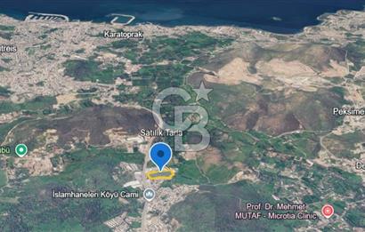 İSLAMHANELERİ'NDE ANA CADDEDE İMAR SINIRINDA 14.711 M2 TARLA