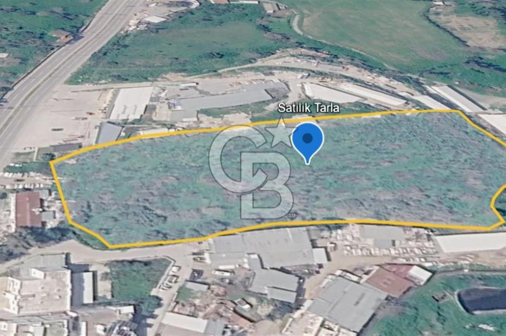 İSLAMHANELERİ'NDE ANA CADDEDE İMAR SINIRINDA 14.711 M2 TARLA