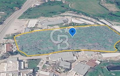İSLAMHANELERİ'NDE ANA CADDEDE İMAR SINIRINDA 14.711 M2 TARLA