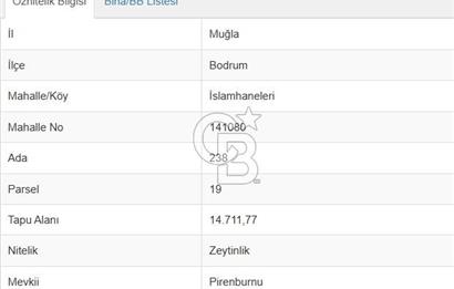 İSLAMHANELERİ'NDE ANA CADDEDE İMAR SINIRINDA 14.711 M2 TARLA