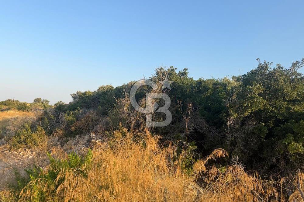 Karaburun Bozköy`de İmarlı Arsa