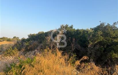 Karaburun Bozköy`de İmarlı Arsa