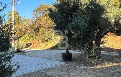 GÜZELYALIDA TAKASLI 160M2 BAHÇE KULLANIMLI VİLLA
