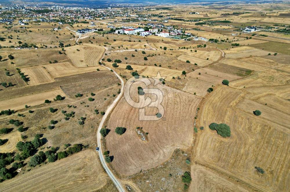 CB OPİA'DAN BÖLME'DE DEVASA YATIRIM FIRSATI ARAZİ